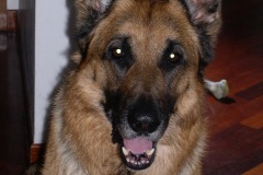DSCN2039