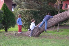DSCN3357